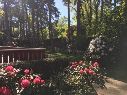 Gepflegter Garten